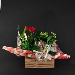 Caja de madera con plantas - Imagen 2