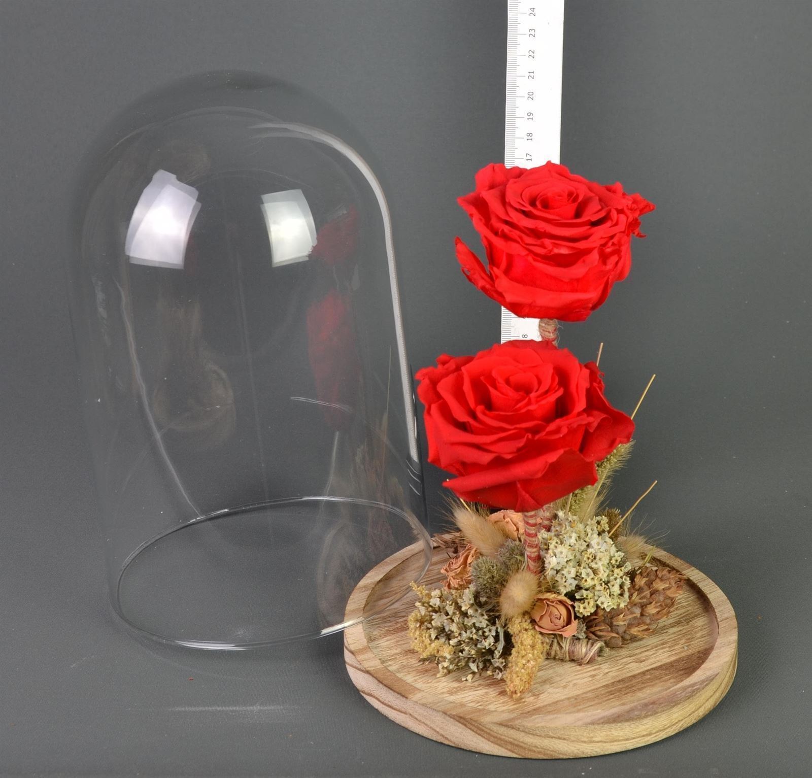 Cupula de cristal, con dos rosas preservadas.
